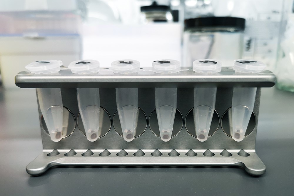 Illustration du contenu